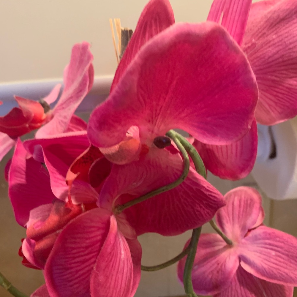 Home accent orchid flower nwt